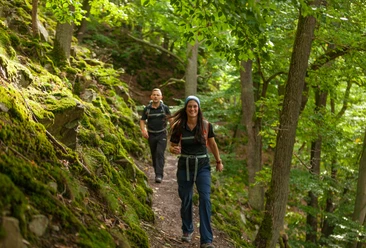Unterwegs auf schmalen Pfaden - 24-Stunden Wanderabenteuer Edersee