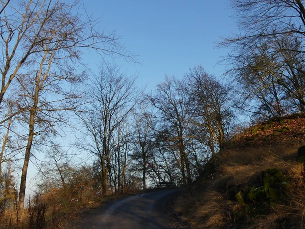 Aufstieg zum Homberg (Bei Bad Wildungen und Reinhardshausen)