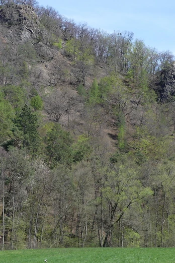Bilsteinklippen im Frühjahr