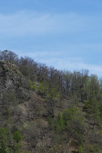Bilsteinklippen, vom Wildetal aus gesehen