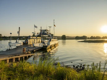 Elbfähre Tanja Elbfähre TanjaElbe ferry TanjaBac sur l'Elbe TanjaVeerboot Elbe TanjaElbe-færgen Tanja