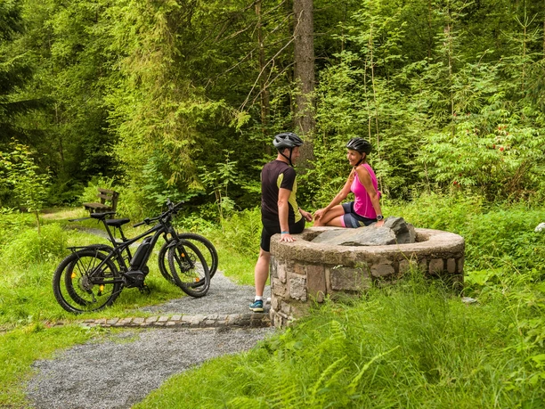 Muldenquelle in Schöneck