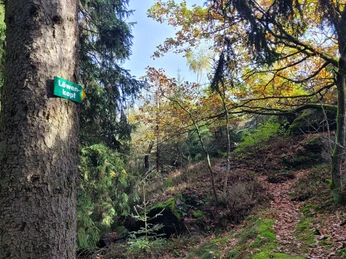 Aufgang zum Löwenkopf am Wendelstein