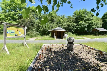 Pilzerlebnispfad in Gräfenwarth bei Schleiz