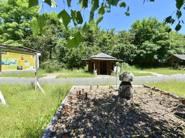 Pilzerlebnispfad in Gräfenwarth bei Schleiz