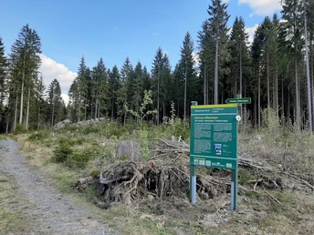 Kleiner Affenstein in Grünbach