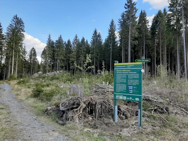 Kleiner Affenstein in Grünbach