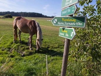 Am Thüringer Planetenweg