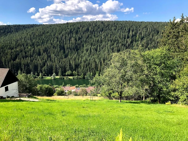 Blick von der Erzgruber Steige zur Nagoldtalsperre