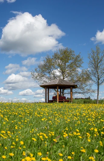 Aussichtspunkt Luise Mayer-Platz in Freudenstadt-Musbach