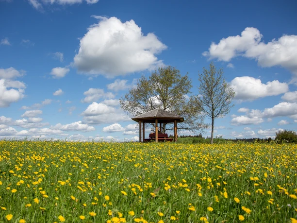 Aussichtspunkt Luise Mayer-Platz in Freudenstadt-Musbach