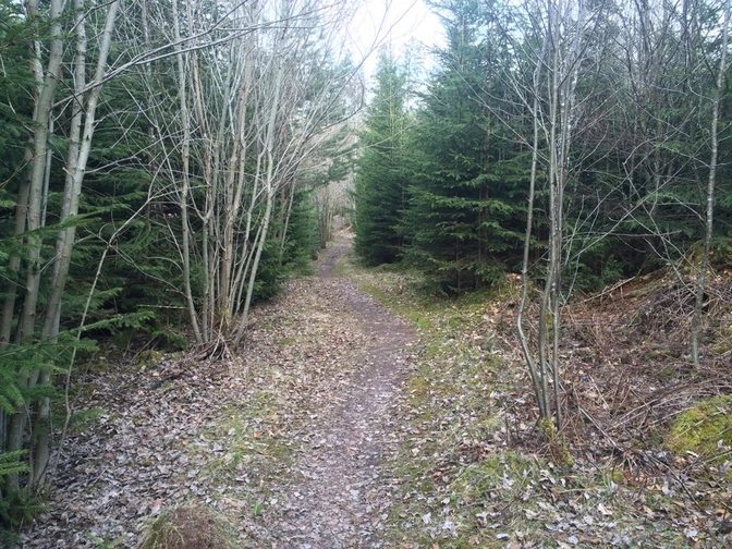 Pfad vor Pfalzgrafenweiler