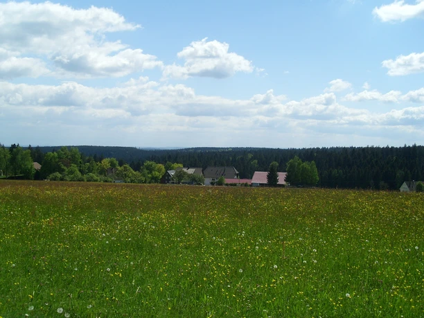 Blick von der Tannenstub Richtung Süden auf Ödenwald