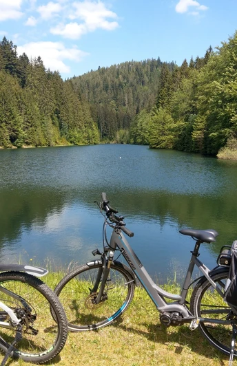 2 E-Bikes am Kinzigsee