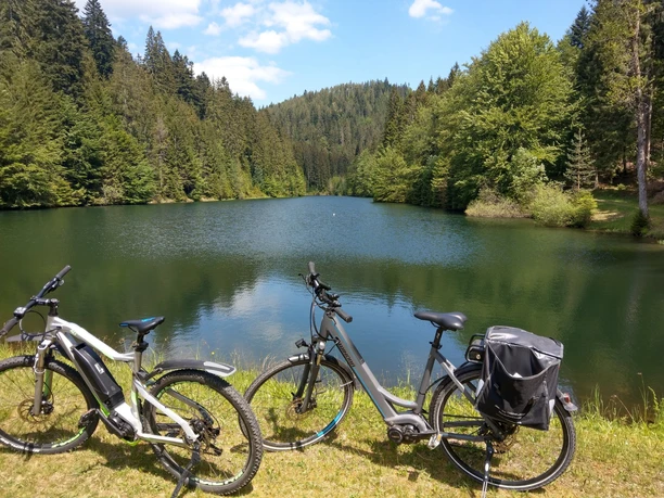 2 E-Bikes am Kinzigsee