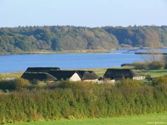 Goldhamer_Haddeby