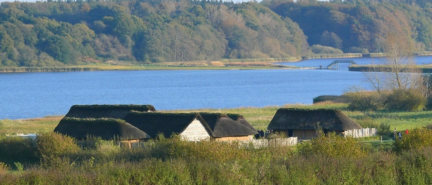 Goldhamer_Haddeby
