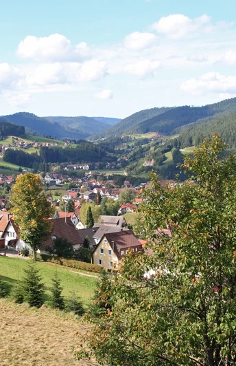 Blick auf Baiersbronn