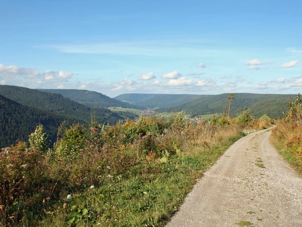 Blick vom Zimmerplatz ins Murgtal