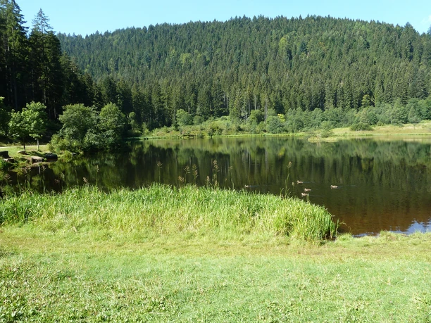 Sankenbachsee