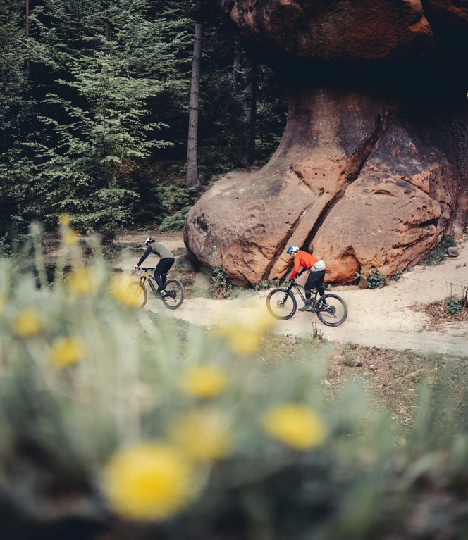 Zittauer Gebirge_Day4 (c) Pia Nowak@piarazzi (80).jpg