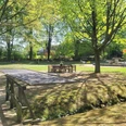 Minigolfplatz Börninghausen Grüner Minigolfplatz mit Holztischen, Bänken, Bäumen und einer kleinen Brücke im Sonnenlicht.