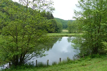 Angelweiher am Irsenpfad