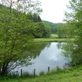 Angelweiher am Irsenpfad