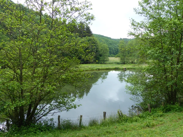 Angelweiher am Irsenpfad