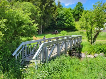 Brücke über die Irse