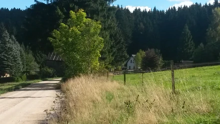 Hahnenhäuser Schnarrtanne