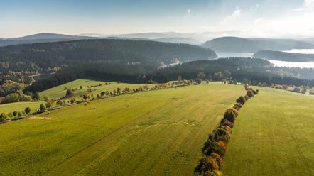 Rund um den Kuhberg