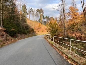 Straße Richtung Krippen