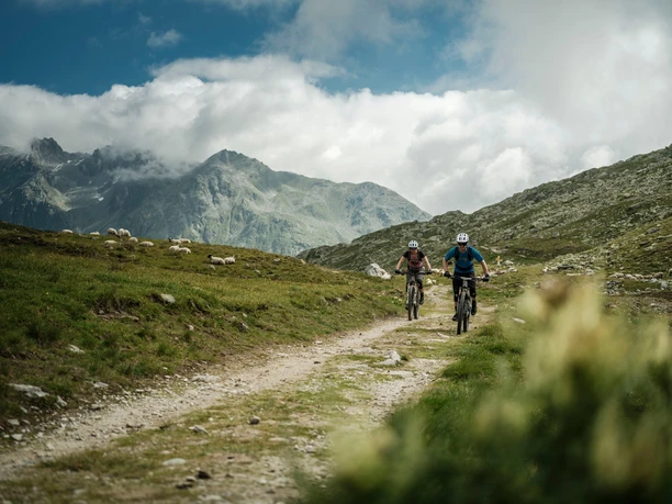 Freichirunde: von Fiesch auf den Schinerewysse