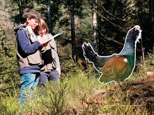 Kinder mit der Entdeckerweste