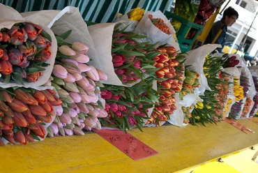 Wochenmarkt_CC-BY-SA_Teutoburger_Wald_Stadt_Schloss_Holte-Stukenbrock Bunte Tulpensträuße in verschiedenen Farben liegen auf einem gelben Verkaufstisch ausgestellt.