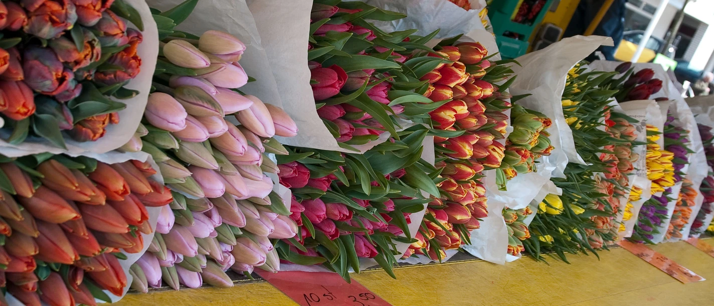 Wochenmarkt_CC-BY-SA_Teutoburger_Wald_Stadt_Schloss_Holte-Stukenbrock Bunte Tulpensträuße in verschiedenen Farben liegen auf einem gelben Verkaufstisch ausgestellt.