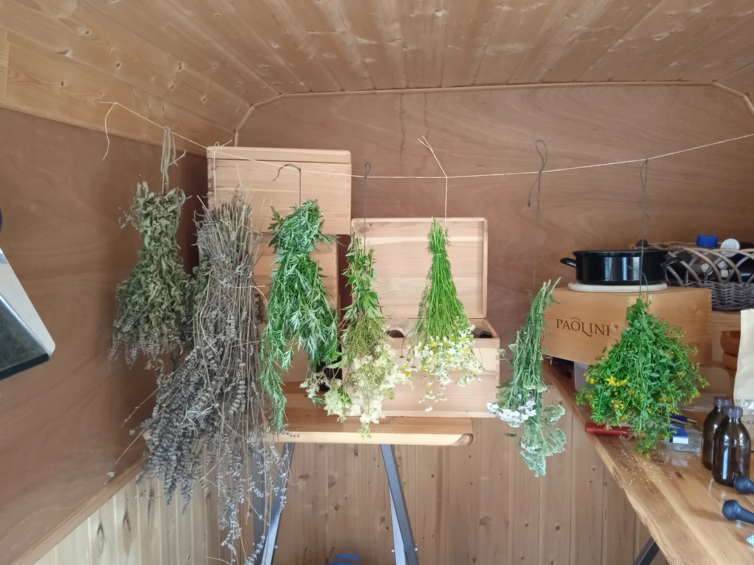 jürgen terra vita 2.jpg