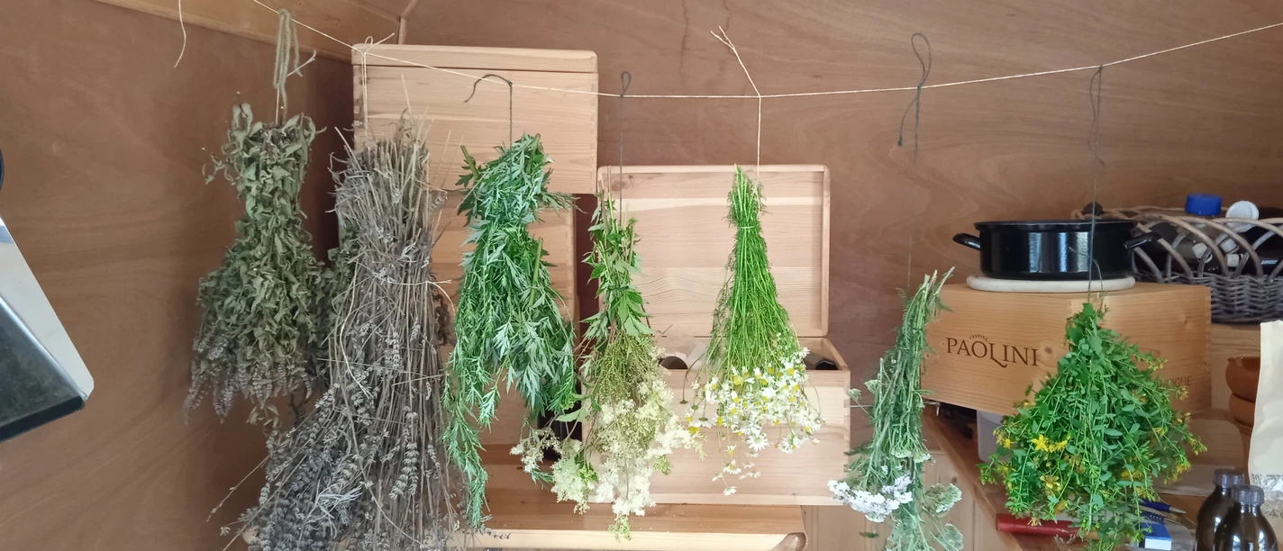 jürgen terra vita 2.jpg