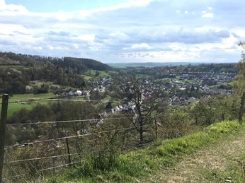 Wanderweg in Dalhausen Blick über den Wanderweg in Dalhausen hinab ins Tal, umgeben von grünen Feldern, im Hintergrund Dalhausen.