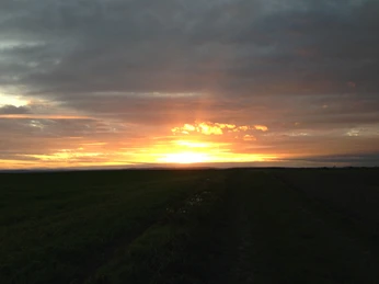 Sonnenuntergang über Dalhausen mit wolkenbedecktem Himmel und Feld im Vordergrund.