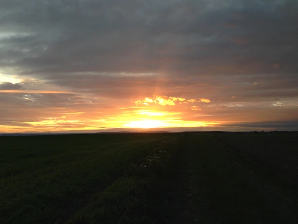 Sonnenuntergang über Dalhausen mit wolkenbedecktem Himmel und Feld im Vordergrund.