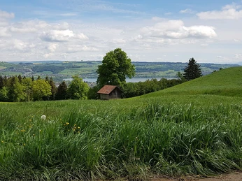 it's all about ENERGY_ohne Text.jpg