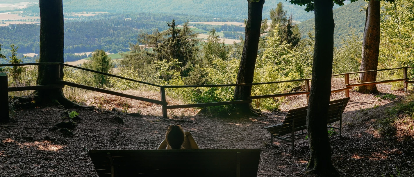 Rast mit Fernsicht bei "Lug ins Land"