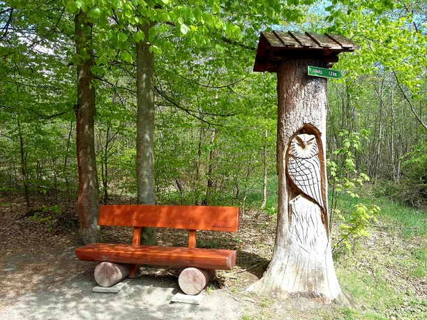 Rastplatz am Waldlehrpfad am Essigsteig