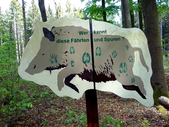 Schautafel "Fährten der Waldtiere"