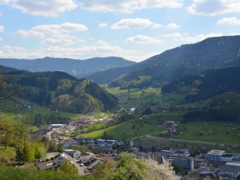 Blick von der Kleinebene