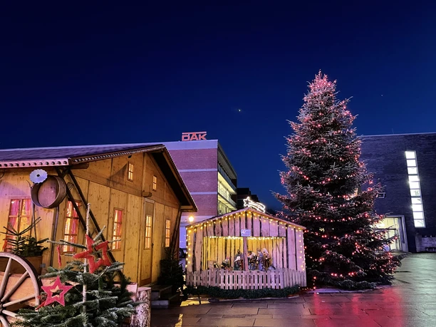 Weihnachtsmarkt-Tanne