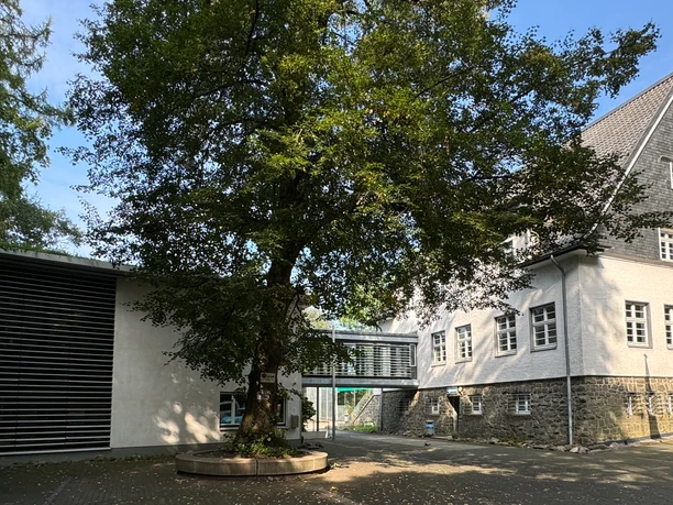 Jugendherberge Radevormwald - Außenansicht Ein historisches Fachwerkgebäude mit modernem Anbau und altem Baum im Vordergrund.