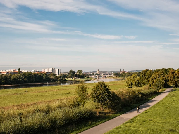 Elberadweg in Dresden